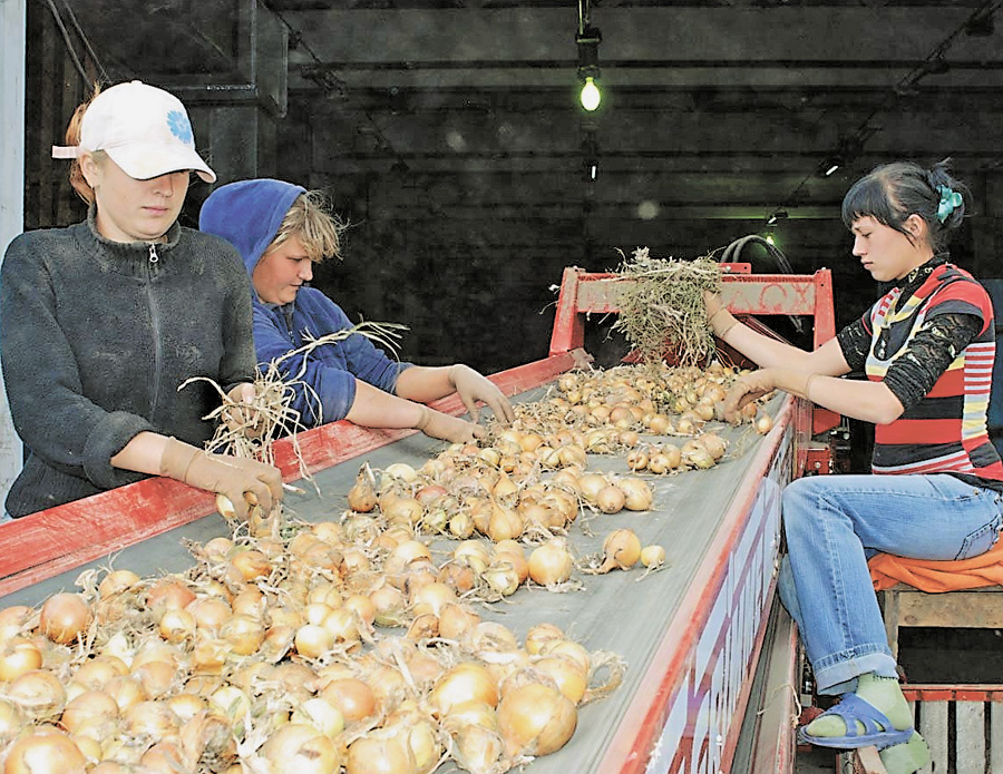 Ця продукція, на жаль, не завжди вчасно надходить до споживачів. Фото з сайту sozhnews.info