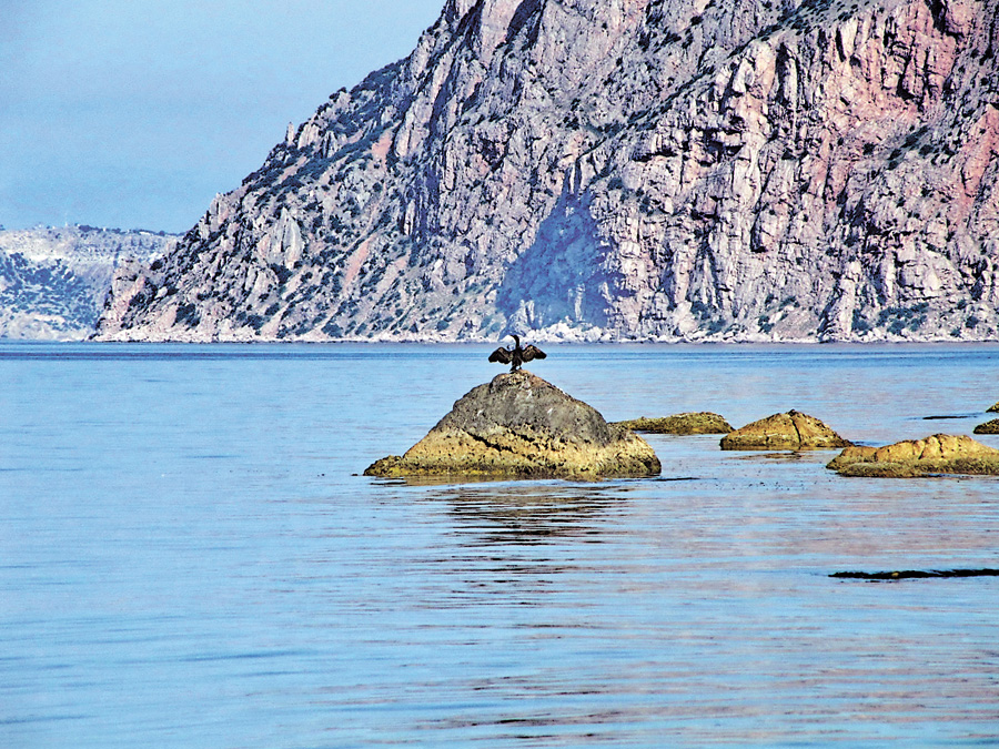 Не плутайте заповідники із зоопарками. Фото Oлександра ЛЕПЕТУХИ