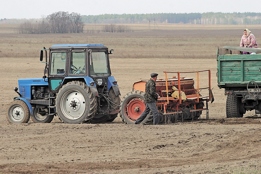 З кожним роком Київщина збирає дедалі більші врожаї. Фото Олександра ЛЕПЕТУХИ