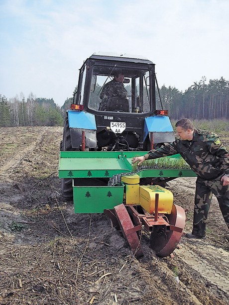 Створений на Житомирщині унікальний агрегат механізував посадку саджанців із закритою кореневою системою. Фото автора