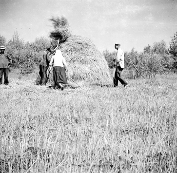 Фотографії із серії «Сторінки старого альбому», яка складається з 130 світлин, зроблених Марленом Матусом у дитинстві та підлітковому віці. Фотографії з архіву Марлена Матуса