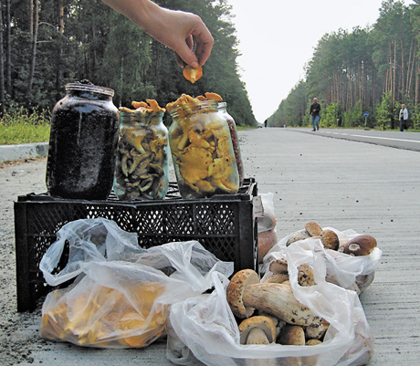 Фото Володимира ЗAЇКИ