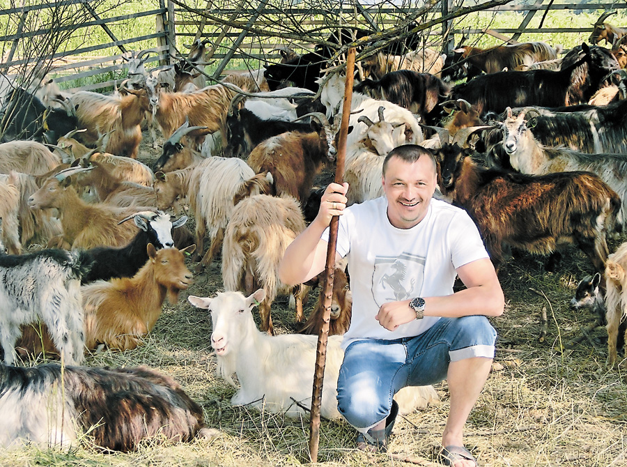 Василь Дан серед своїх улюблениць-кіз. Фото автора