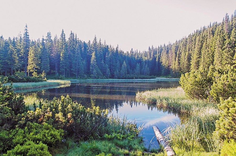 Фото з сайту travelday.com