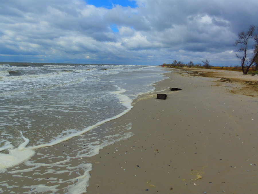 Півострів Кінбурн вабить чистим морем, просторами, малолюддям. Фото автора