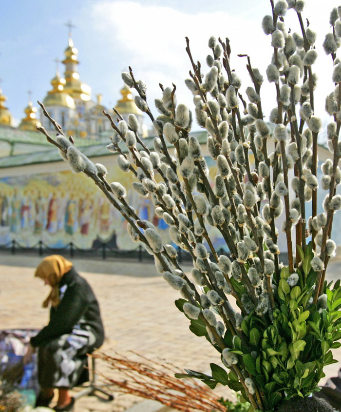 Верба вже прокинулася від зимового сну і налаштовує нас на Великодні свята. Фото УНІАН