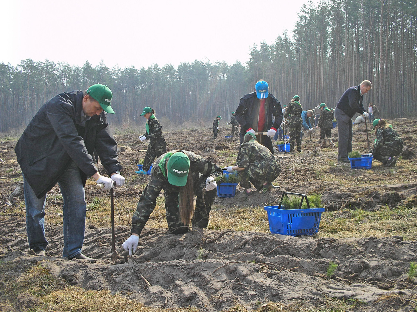 Добра справа посадити навіть одне дерево, не кажучи вже про цілий ліс. Фото прес-служби Житомирського обласного управління лісового та мисливського господарства