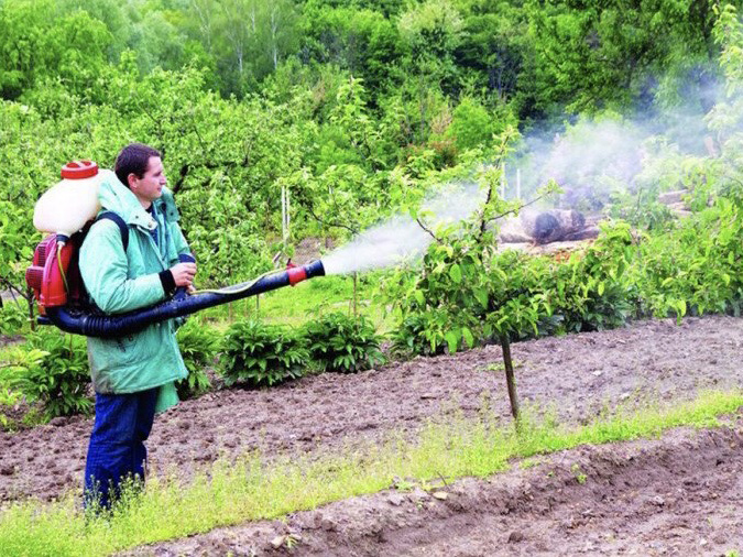 Уявіть, що вашу картоплю з’їдає колорадський жук, а замість сучасних засобів у вас відро з дустом і старий віник