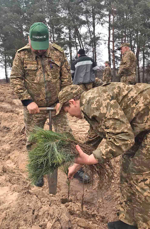 Нові насадження треба робити з дотриманням технологій. Фото з сайту sorada.gov.ua