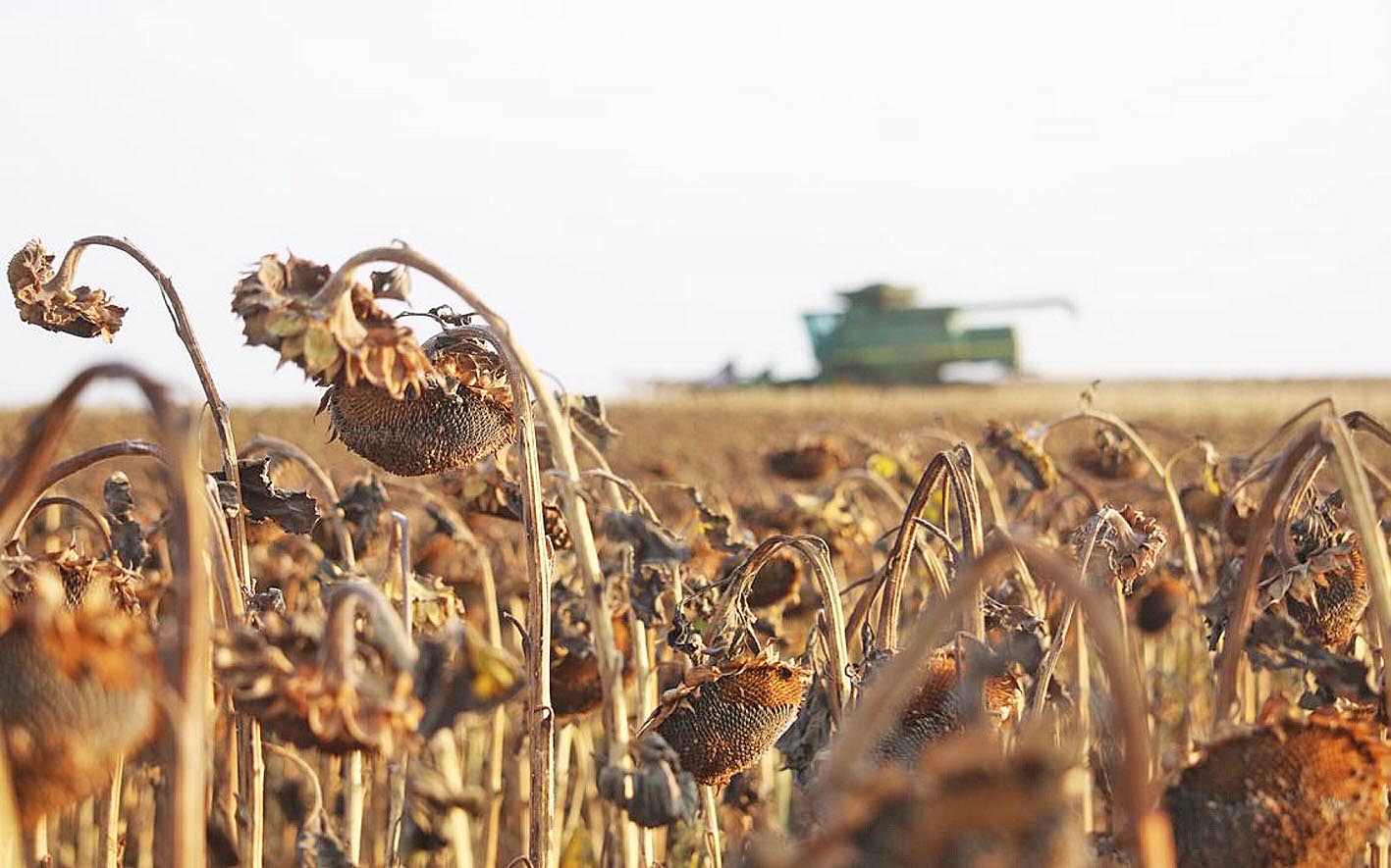 Фото з сайту agweek.com