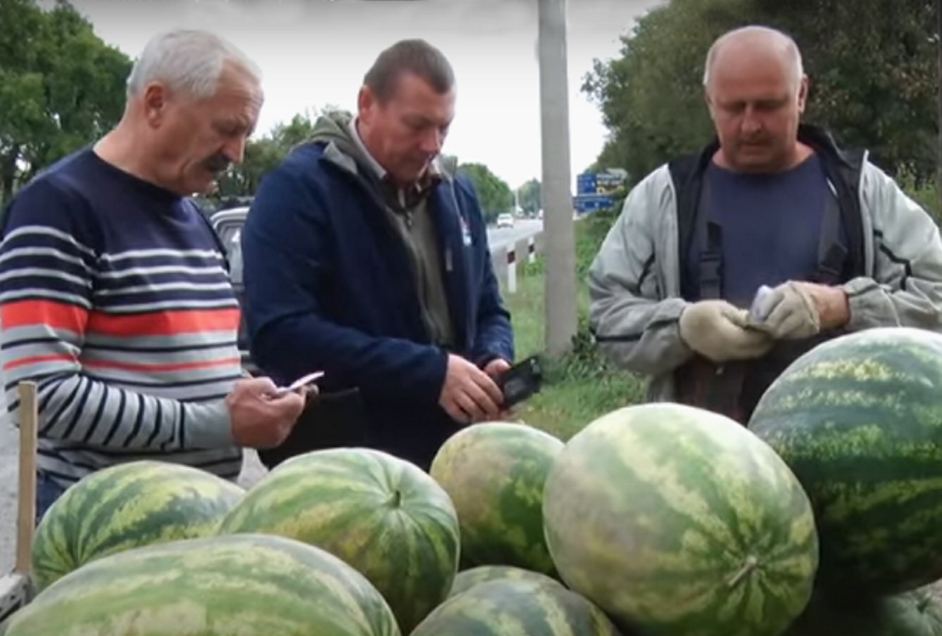 Фермер Володимир Кучінка (на знімку праворуч) використовує вигідне розміщення його плантації з кавунами — поруч із автотрасою. Фото з сайту 1-tv.com.ua