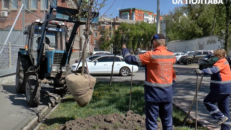 Майже щодня в різних районах міста можна побачити техніку КП «Декоративні культури» та його працівників. Фото з сайту poltava.to