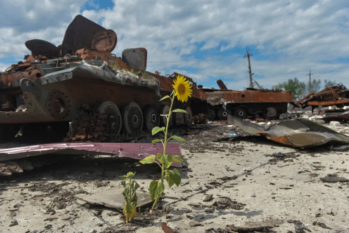 За майже два роки від початку широкомасштабного вторгнення задокументовано понад 3700 випадків шкоди довкіллю. Фото з сайту texty.org.ua