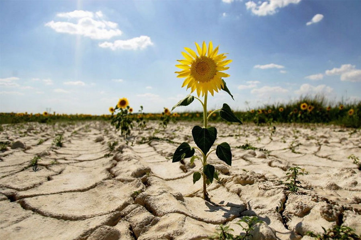 Фото з сайту ecoaction.org.ua