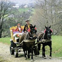 Жаба подарує достаток і захистить від заздрощів