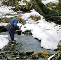 Грають хвилі на полях