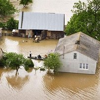 "Повінь" шахрайств