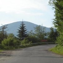 У ліс веде і з лісу виводить    