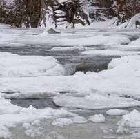 На прикордонних річках без несподіванок