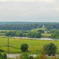 Коли закінчуються повноваження сільського голови?