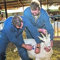 Стукайте і вам відчинять    