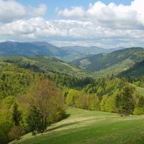 Закарпатський паровоз уперед не летить