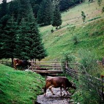 На село прийдуть дешеві кредити