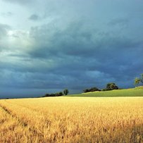 Небесна канцелярія вносить свої корективи