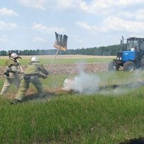 «Червоного  півня» на поле не пустять