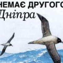 «Річка зможе нормально жити лише після спуску водосховищ»