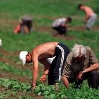 Власний стіл стане багатшим