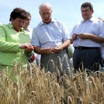 Хліб  дорожчати не повинен