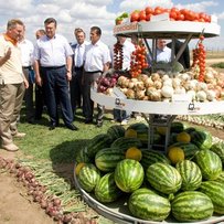 І самі наїмося, й інших нагодуємо