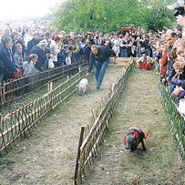 Веселились, віники в’язали та поросят ганяли