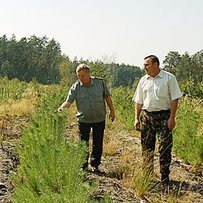 Коли поле втікає до лісу