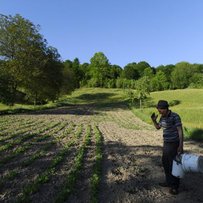 Запрацює ринок — будуть кредити