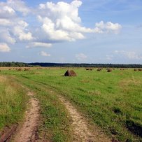 Ринок землі має запрацювати