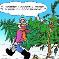 Навіщо лісовим красуням чипи?