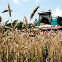 Земля віддячила дбайливим