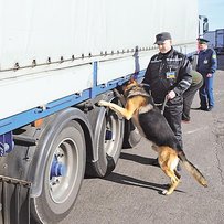 А що замаскували під удосконаленням?