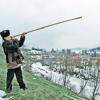 Покинь сани, бери віз!