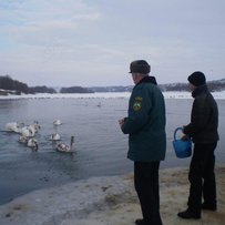 Води хоч топитися, та немає де напитися