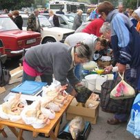 Як ми посеред траси «базарували»