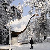 Зима під парасольками