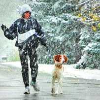 Перший сніг. Як завжди, несподіваний?