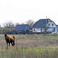 Податки є — були б розкоші!