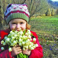  Операція «Первоцвіт»: мафія прокидається