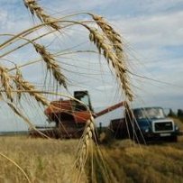 Бартер на селі відійде в минуле