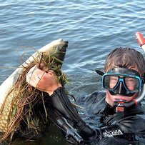 Обережно, у воді — гарпунери!