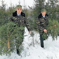 З якого боку краще пробиватися до лісової Європи